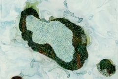 Melt IV