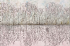 Pond